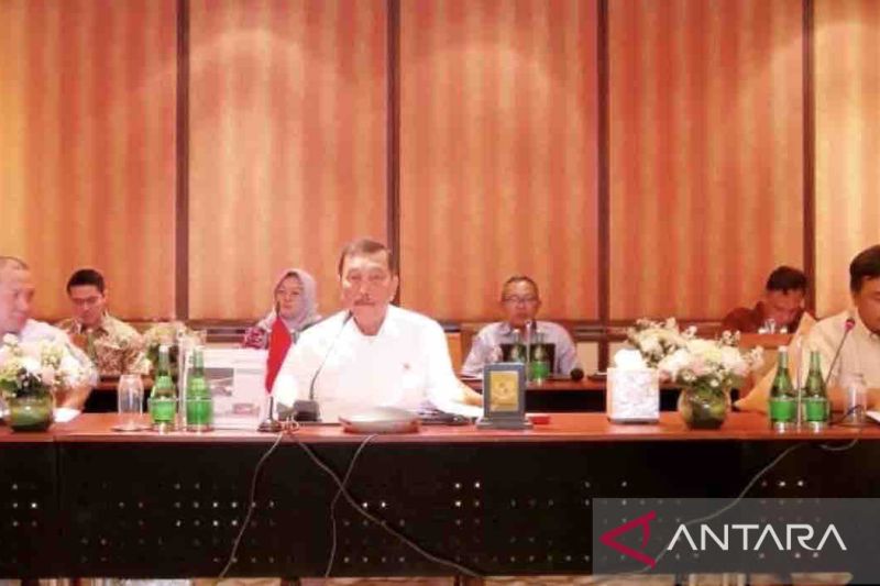 Luhut: Jangan Lecehkan, Remehkan Kemampuan Anak Muda Indonesia
