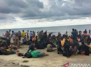 Din Syamsuddin Dukung Pengungsi Rohingnya Dipindah ke Pulau Galang