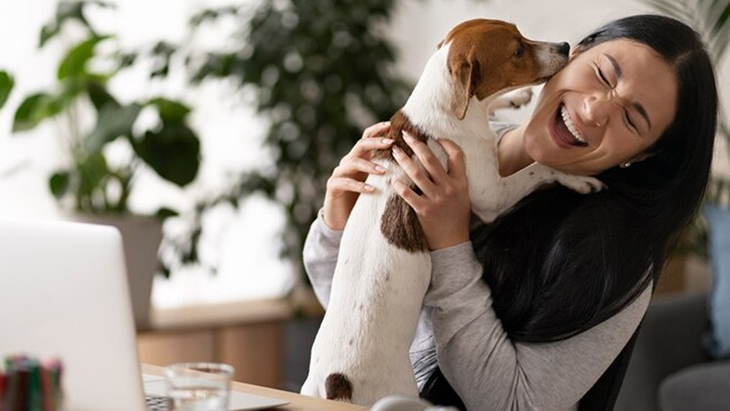Peneliti Ungkap Anjing dan Pemiliknya Punya Kepribadian Serupa