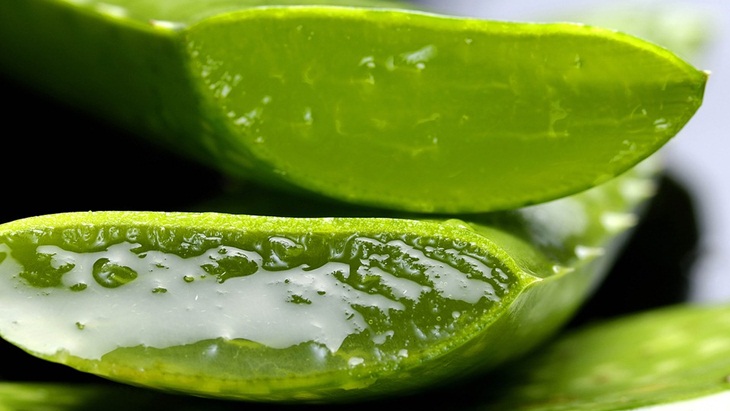 Kering atau Berminyak? Ini Masker Buatan dari Lidah Buaya Sesuai Jenis Kulit