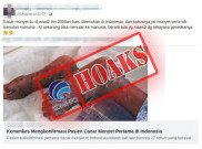 [HOAKS atau FAKTA]: Cacar Monyet Menular pada Manusia Akibat Rekayasa Genetika