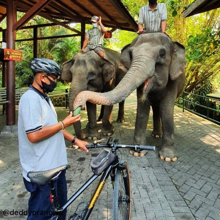 Ada syarat yang harus dipatuhi untuk masuk ke kebun binatang. (Foto: Instagram/GL Zoo Jogja)