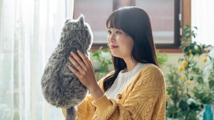 MeowEver, Solusi Buat Kamu yang Tidak Bisa Pelihara Kucing