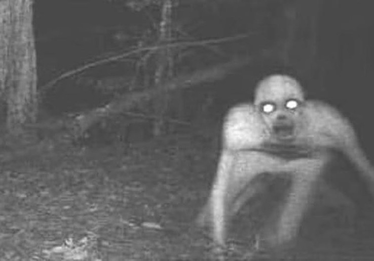Apa Itu Skinwalker? Makhluk Mitos Menyeramkan dari AS