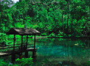 Menikmati Indahnya Telaga Rambut Monte di Blitar