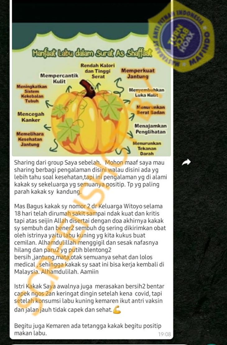 Tangkapan layar hoaks soal labu kuning kukus sembuhkan COVID-19. (Foto: MP/Turnbackhoax.id)