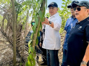 Ketua MPR Dukung Pembangunan Kebun Pembibitan Vanili 300 Hektare di Banten