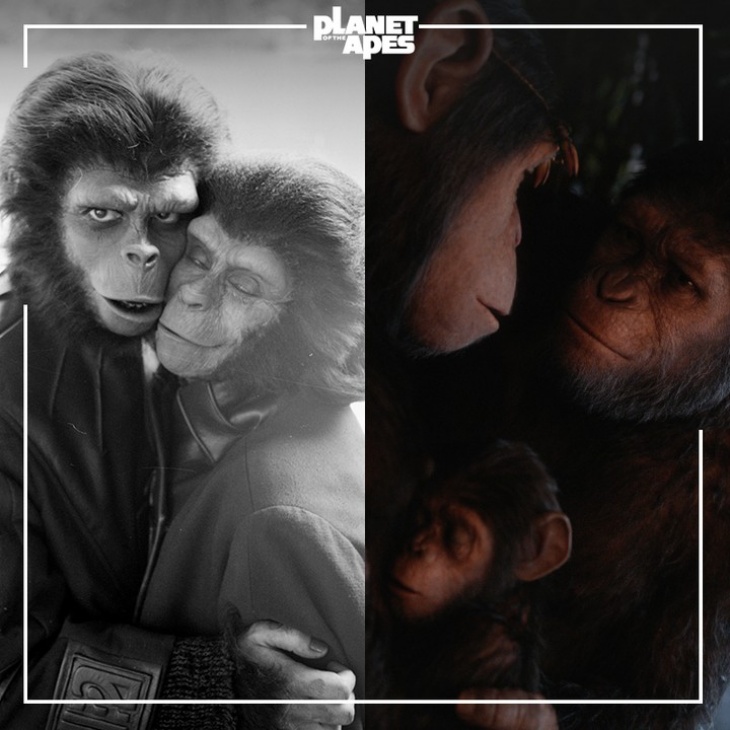 'Kingdom of the Planet of the Apes', Babak Baru Trilogi Sebelumnya