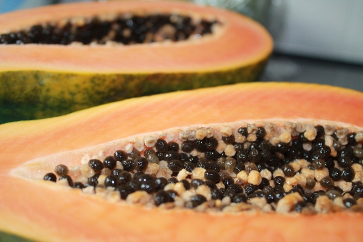 Pepaya berkhasian untuk memecah serat makanan. (Foto: Pixabay/TLink)