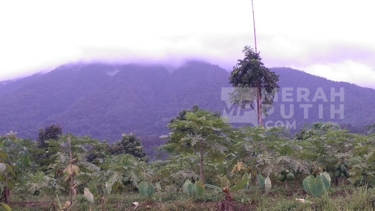 Analisis BMKG: Gempa Beruntun Gunung Salak Bukan Akibat Aktivitas Magma