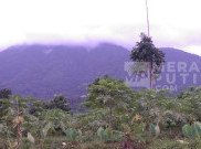 Analisis BMKG: Gempa Beruntun Gunung Salak Bukan Akibat Aktivitas Magma