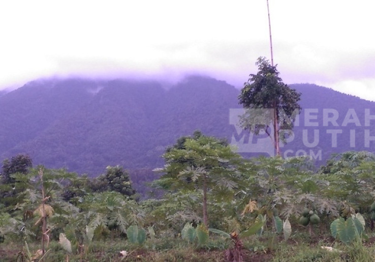 Analisis BMKG: Gempa Beruntun Gunung Salak Bukan Akibat Aktivitas Magma