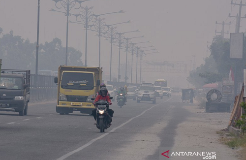 Walhi Anggap Jokowi Lalai dan Tutup Mata soal Karhutla