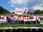 Antusias 11 Anak Muda Milenial Ikuti Praktek Pertanian Sayur Mayur JHL Merah Putih Kasih Foundation