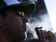 BNN Paparkan Dampak Buruk yang Akan Dialami Pemakai Ganja