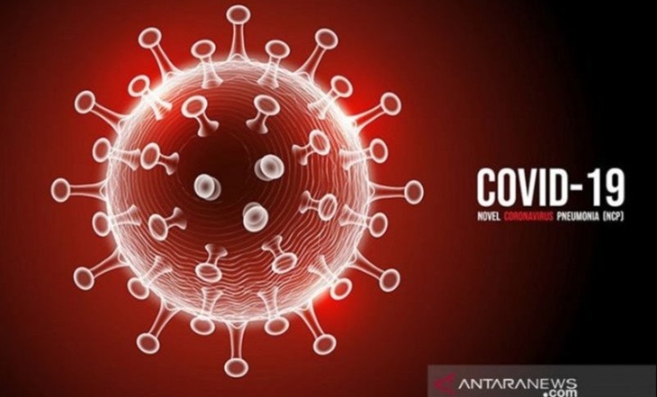 Ilustrasi - Virus Corona. (Dok Antara)