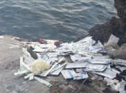Viral Limbah Antigen Kotori Selat Bali, Pimpinan DPR Duga Sengaja Ada yang Membuang