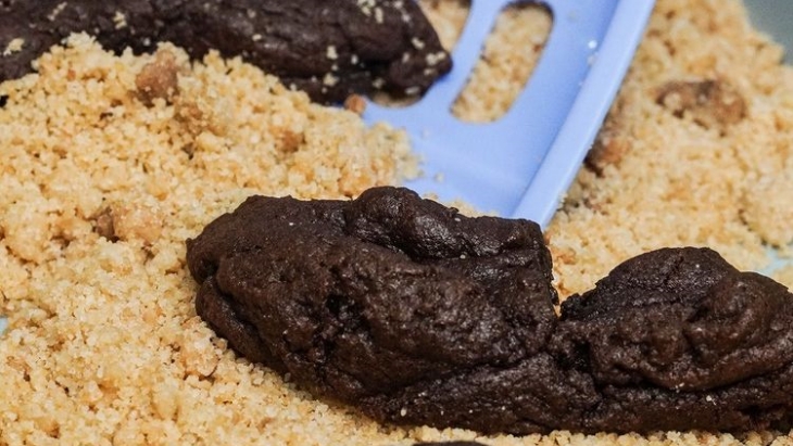 Brownies Halloween ini Terlihat Seperti kotoran