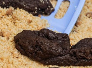 Brownies Halloween ini Terlihat Seperti kotoran