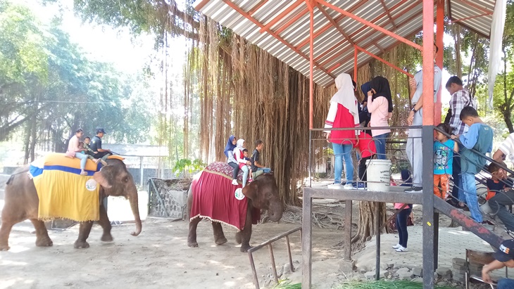 Para pengunjung menikmati Taman Satwa Taru Jurug Solo