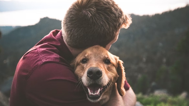 Cara Mengetahui Kehamilan Anjing Kesayanganmu