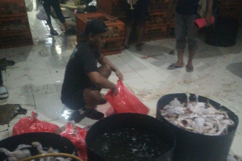 Waspada, Beredar Ayam Gelonggong di Pasar Kabayoran Lama Jelang Ramadan