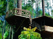 Taman Hutan Raya Pocut Meurah Intan, Spot Berfoto Cantik di Aceh