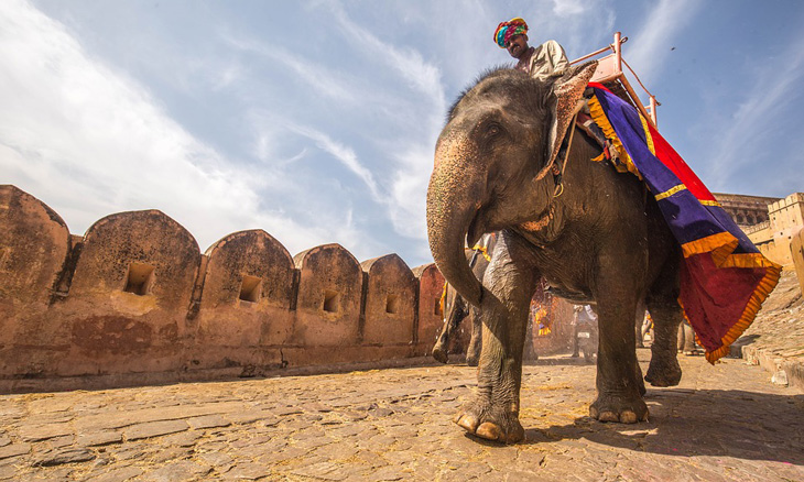 Seru Banget, Berwisata Naik Gajah di Bali