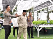 Meski Dikritik Akademisi, Prabowo Tetap Jalankan Program Makan Bergizi Gratis