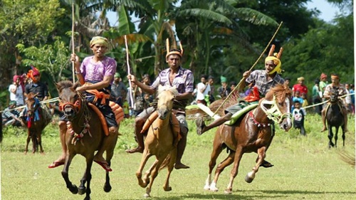Pasola Festival