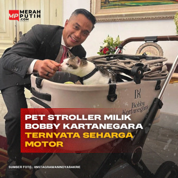 Pet Stroller Milik Bobby Kertanegara Ternyata Seharga Motor