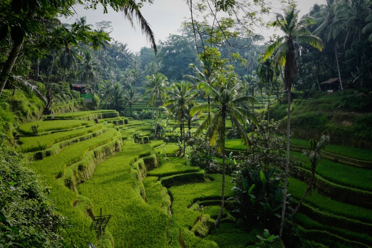 Bali Masuk 10 Destinasi Terpopuler Dunia di 2023