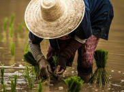 Makna Doa dalam Lagu Sunda 'Ganti Taun' Karya Mang Koko