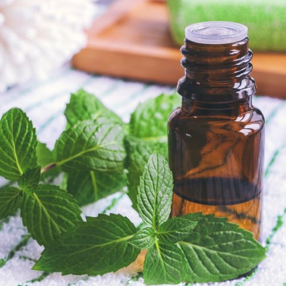 Minyak Peppermint untuk meredahkan kram perut saat menstruasi (Foto: Pinterest/draxe)