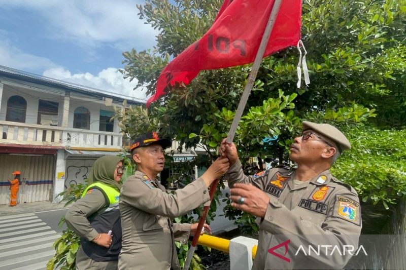 Proses Penertiban APK Sudah Capai 99 Persen