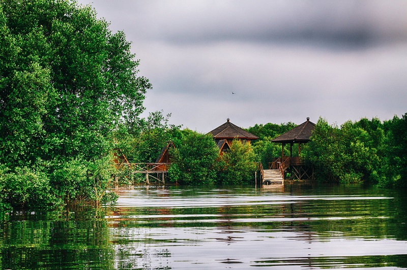 Taman Mangrove. (https://www.jakartamangrove.id)