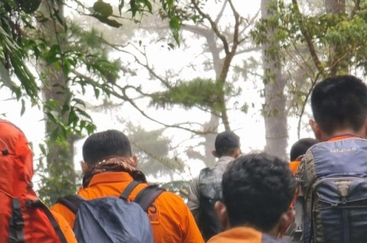 164 Pendaki Dievakuasi dari Gunung Marapi