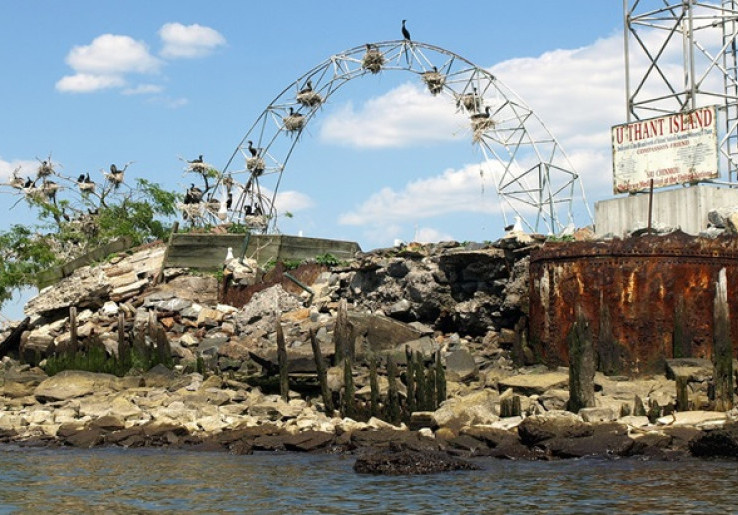 Pulau Kecil di New York Ini Dilarang Dikunjungi
