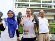 Pemprov DKI Jakarta Mulai Perang Lawan Ikan Sapu-Sapu, Nelayan: Mustahil Habis, Mirip Nyamuk Susah Musnah