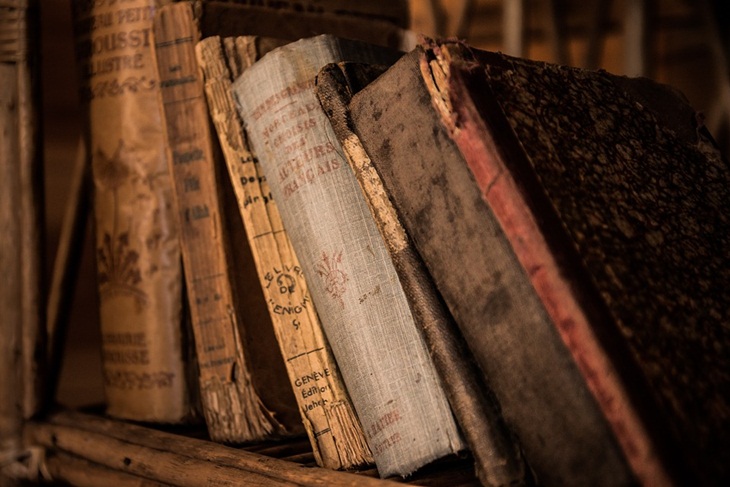 Merawat buku menjadi keasyikan tersendiri. (Foto: Pixabay/jarmoluk)