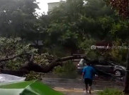 Angin Ribut Terjang Solo Saat Perayaan Natal, Mobil Wisatawan Ringsek Tertimpa Pohon