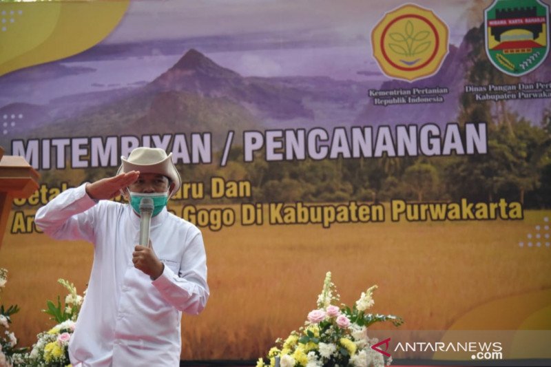 Periksa Dedi Mulyadi, KPK Dalami Aliran Dana Banprov Indramayu