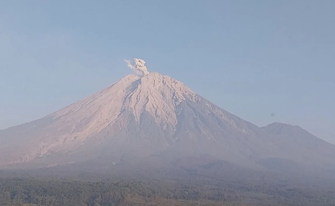Gunung Semeru Kembali Erupsi Hari Ini, Tinggi Kolom Letusan 800 Meter