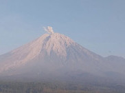 Gunung Semeru Kembali Erupsi Hari Ini, Tinggi Kolom Letusan 800 Meter