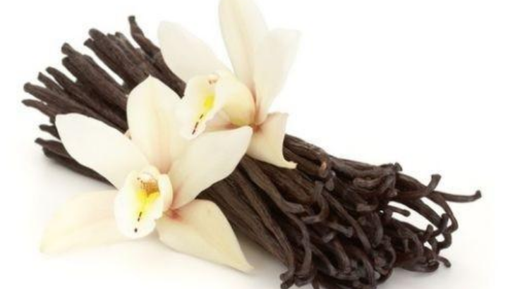 Vanilla, Rasa yang Mahal