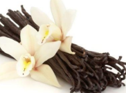 Vanilla, Rasa yang Mahal