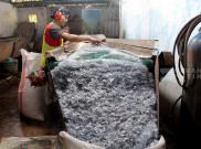 Pemerintah Bebaskan Bea Masuk Bahan Baku Plastik Impor