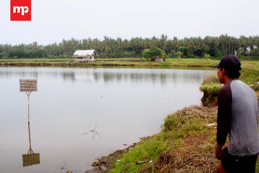 Jejak Fosil Gajah Purba di Pesisir Utara Tangerang