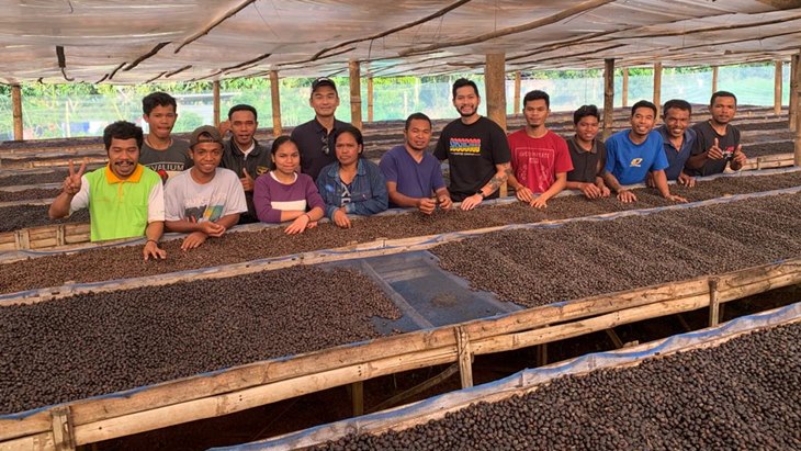kopi