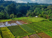 Tradisi-Tradisi Minta Berkah di Indonesia